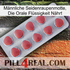 Männliche Seidenraupenmotte, Die Orale Flüssigkeit Nährt 18